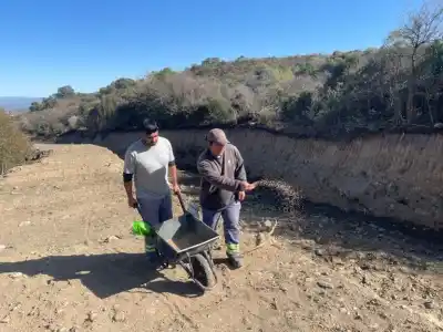 Un manto verde de centeno cubre las márgenes del arroyo Damiana Vega