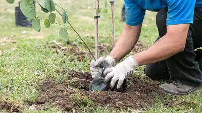 Roldán se llena de verde: jornada gratuita de forestación, reciclaje y sorteos