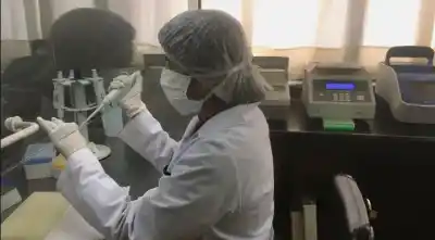 El programa que impulsa la ciencia en Chubut sumó tres nuevos investigadores
