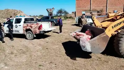 Desmantelan transporte ilegal de carne en La Pampa: 350 kilos decomisados en un control rutinario