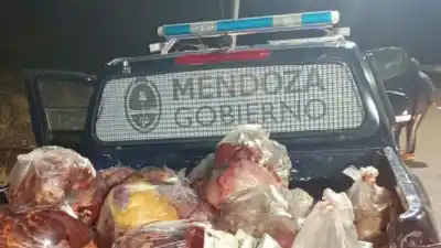 El hallazgo en una camioneta que dejó perplejos a los gendarmes en El Sosneado