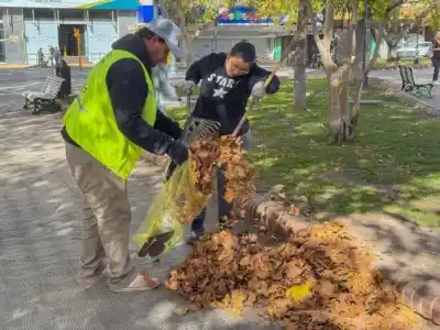 Limpieza integral en el norte de Capital: conocé el cronograma completo