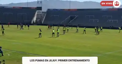 Jujuy vibra con Los Pumas: el entrenamiento a puertas abiertas que nadie quiere perderse