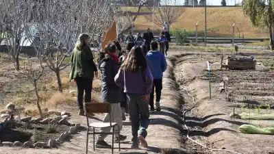 Estudiantes que producen como en una fábrica real: la educación agrotécnica que despega en San Juan