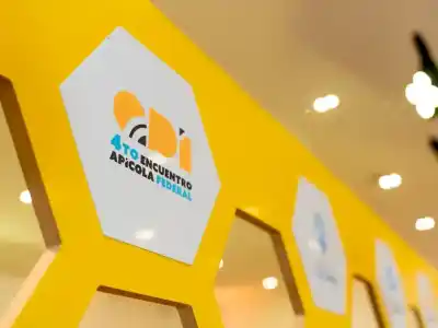Formosa brilla en el 4° Encuentro Federal Apícola: tecnología, financiamiento y futuro