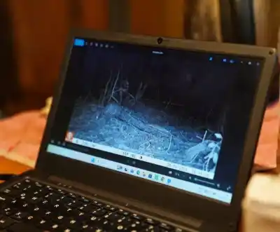 Misteriosas criaturas nocturnas: así sorprenden las cámaras ocultas de la Reserva Santa Catalina
