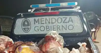 Un control de rutina destapó un cargamento de carne que nadie pudo explicar