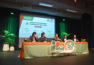 Forestindustria en alerta: megainversiones por USD 2.500 millones y un reclamo que incomoda al Gobierno
