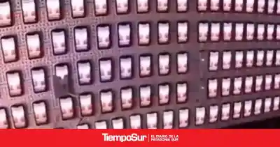 Escándalo en redes: allanan una granja de bots y aparecen montañas de dinero en el centro de la causa libertaria