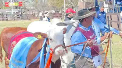 La Expo Rural Salta abre sus puertas con récord de financiamiento para el sector