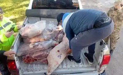 Interceptaron un cargamento ilegal de 350 kilos de carne en la ruta 102