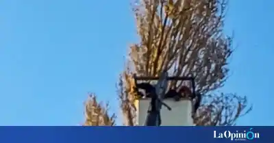 El rescate que conmovió a Gobernador Gregores: un gato atrapado a 22 metros
