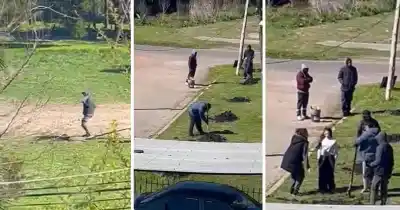 Piedrazos y amenazas en Los Hornos: el intento de cerrar un terreno terminó en conflicto