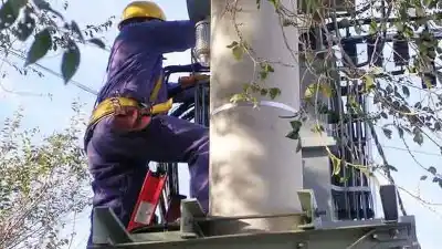 Cortes de luz programados en Libertador: ¿Qué zonas se verán afectadas?
