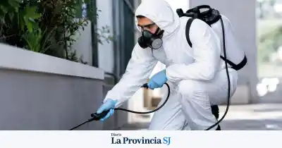 San Juan tendrá su primera cámara de control de plagas: 70 empresas buscan unirse