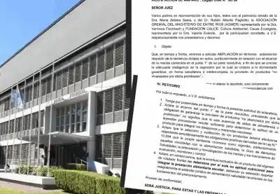 El fallo que frena los comedores: apelan y exigen al juez que aclare qué productos son aptos