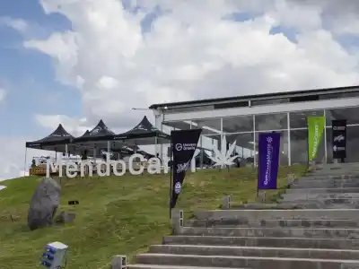 Mendoza ya no es la misma: el secreto que florece en la provincia y que pocos se animan a contar