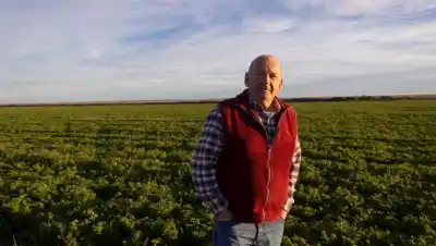 Compró un campo abandonado en la Patagonia y 30 años después produce carne y cultivos: su secreto