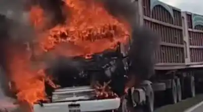 Un camión cañero se incendió en plena ruta 34 y el fuego casi destruye la carga