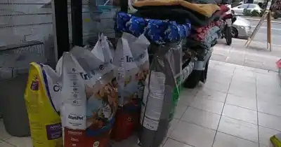 El negocio de las mascotas: cómo los animales domésticos mueven 3.200 millones de dólares al año en la Argentina