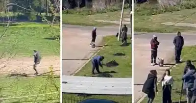 Tensa disputa en Los Hornos: piedras, vidrios y amenazas por un cerco que desató la furia vecinal