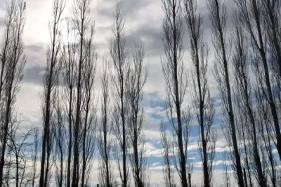 El domingo en Roca arranca con frío y cielo cubierto: ¿cuándo sube la temperatura?