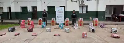 Abrieron ocho encomiendas en Jujuy y el hallazgo dejó helados a los efectivos