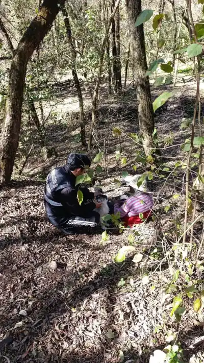 El misterio de la abuela desaparecida en Jujuy: el hallazgo que sorprendió a todos