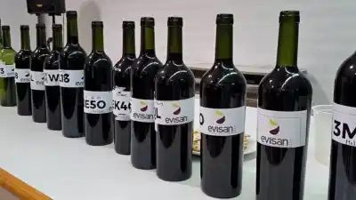EVISAN 2026: el evento que revela los secretos mejor guardados de los vinos sanjuaninos