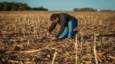 El plan de UPL para el NOA: tecnología que se adapta a cada lote y una nueva forma de fertilizar