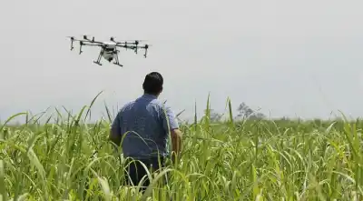 Drones en el campo: Salta impone nuevas reglas y crea un registro obligatorio