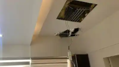 Entraron por el techo a una carnicería y se llevaron más de $1,5 millones