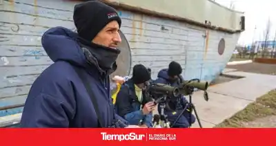 El censo invernal que desafía el frío extremo para salvar al Macá tobiano