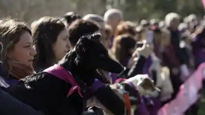 La caminata que unió a Rosario con sus mascotas: ¿qué pasó en el Mascotón?