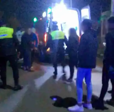 Una pareja de Monteros herida al cruzarse unos perros