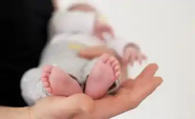 Desmienten a Milei: la caída de la natalidad no tiene relación con el aborto