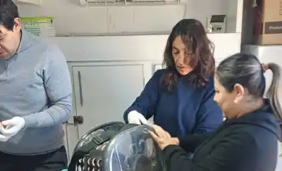 Más de 80 mascotas fueron vacunadas y desparasitadas en Catriló: el detalle que no te contaron