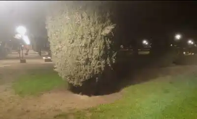 Lucieron las plazas de Jacinto Arauz tras el cambio de luminarias led