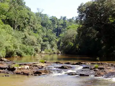 Reserva Paraíso: el ambicioso plan para salvar 440 hectáreas de monte con $7,5 millones