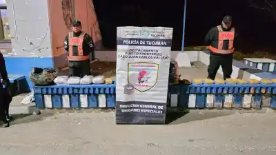 El operativo que destapó una red de encomiendas con 17 kilos de marihuana