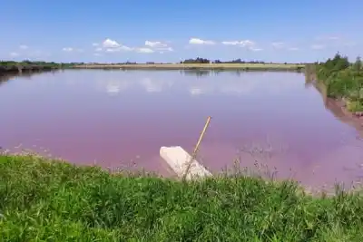 Apareció sin vida en un arroyo: la desesperante búsqueda que terminó en tragedia