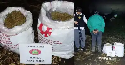 Un hombre de 67 años cayó en Tucumán: le secuestraron cinco kilos de marihuana tras una fuga por fincas