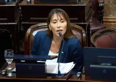 Rematan 38 hectáreas en Ushuaia y la senadora López contraataca con 4 proyectos: qué contienen