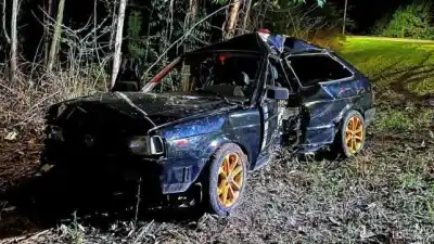 Un Volkswagen Gol se estrelló contra un monte de eucaliptus y dejó a dos personas heridas