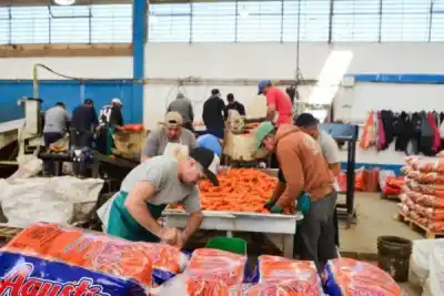 El plan de Colonia El Simbolar para que los productores no se queden con lo que no pueden vender
