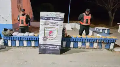El narco que viajaba en una encomienda: así cayó una red que enviaba marihuana a Catamarca
