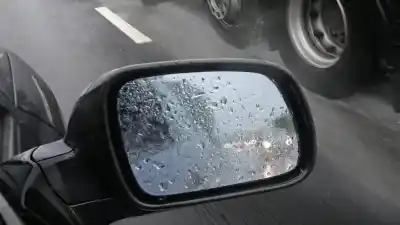 Alerta en Neuquén: el viento podría superar los 78 km/h en estas localidades