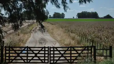 El campo vuelve a sonreír: la tierra alcanza récords nominales, pero la inflación esconde otra realidad