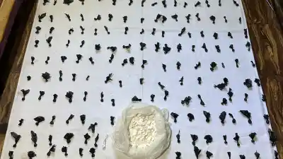 La insólita maniobra que salvó a un sargento del Ejército de ir preso por un kiosco narco