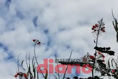 El tiempo en Santiago del Estero: ¿llega el calor fuerte esta semana?